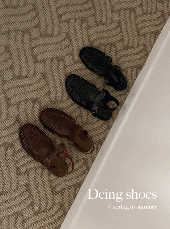 드잉 shoes (2 color)